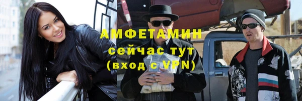 гашик Горняк