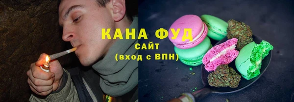 гашик Горняк