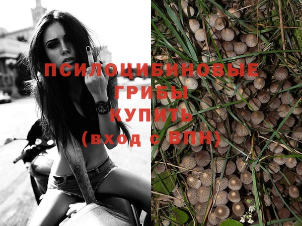 ECSTASY Горно-Алтайск