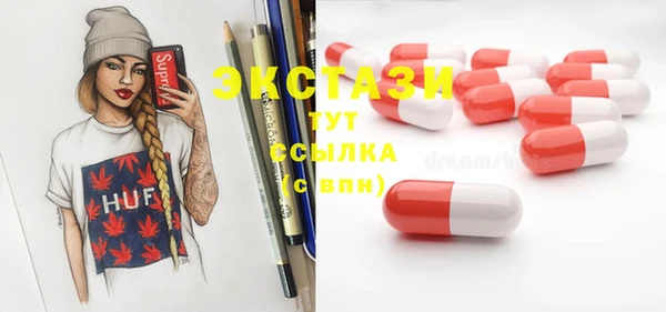гашик Горняк