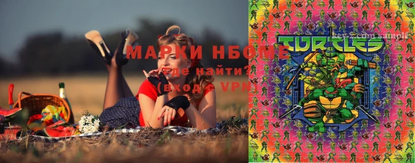 гашик Горняк