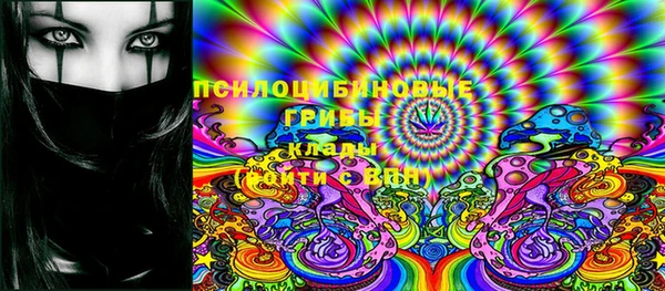 гашик Горняк