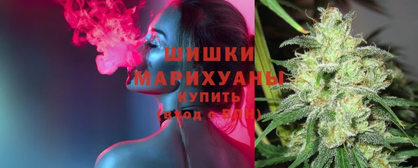 гашик Горняк