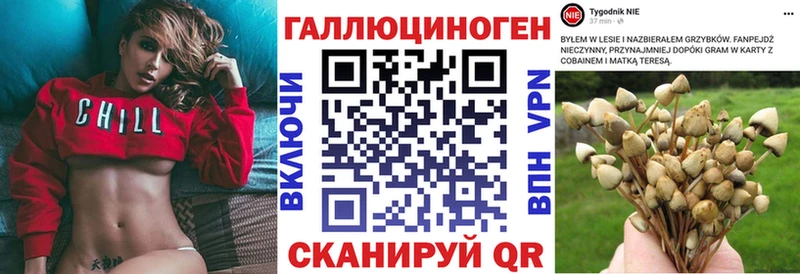 KRAKEN ССЫЛКА  магазин продажи   Чкаловск  Галлюциногенные грибы ЛСД 